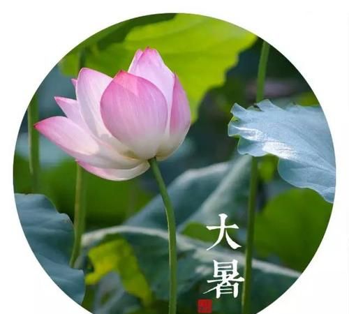 大暑节气的含义是什么意思：大暑节气的含义是什么