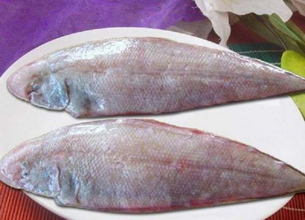 龙利鱼是什么鱼,巴沙鱼和龙利鱼是海鱼还是淡水鱼图4