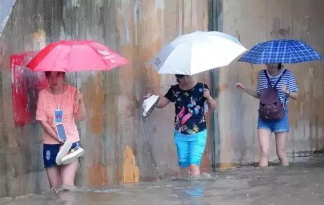 河北暴雨最新消息今天降雨量 河北主汛期来了(8)