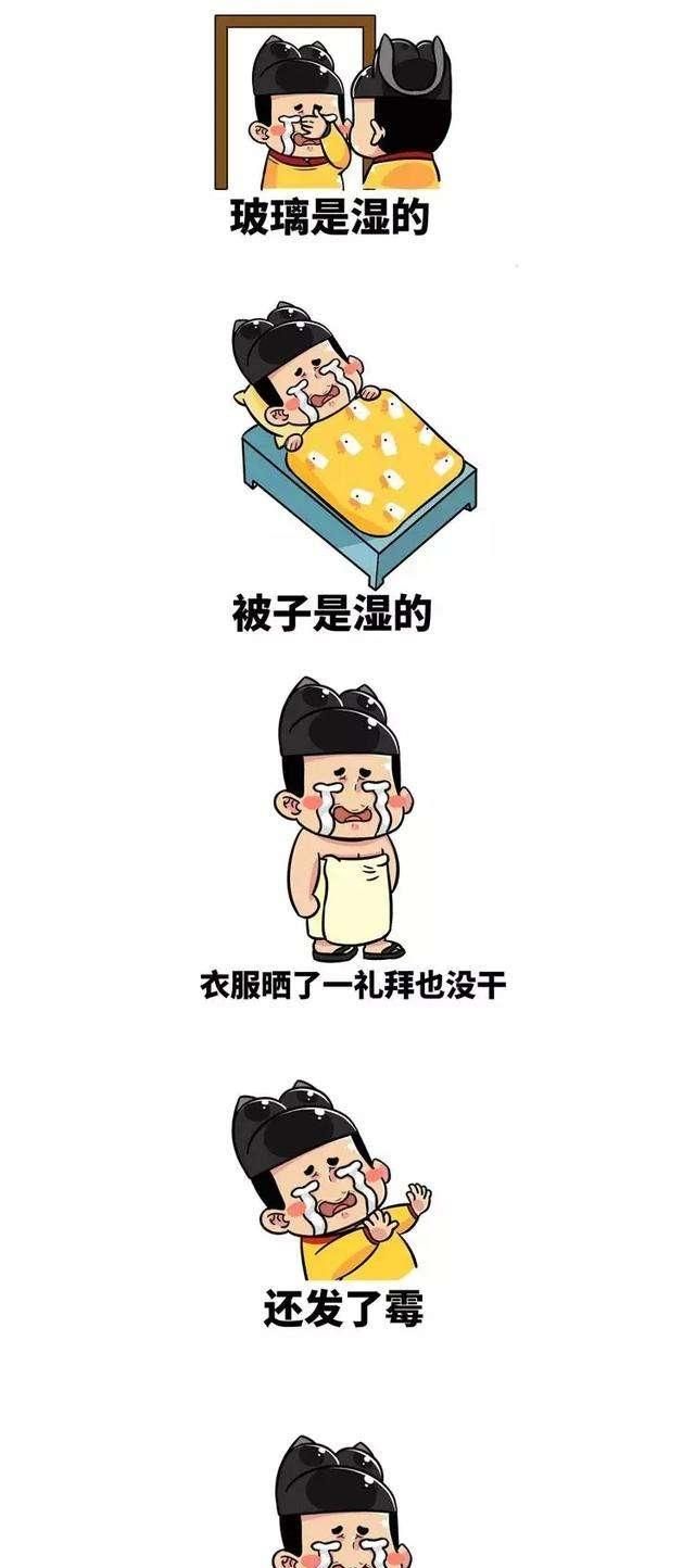 南方潮湿天气如何除湿，南方潮湿，有必要使用除湿机吗？图6