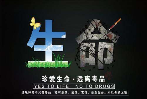 禁毒手抄报内容写什么,禁毒手抄报内容写什么图4