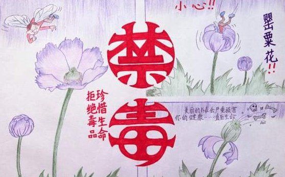 禁毒手抄报内容写什么,禁毒手抄报内容写什么图1
