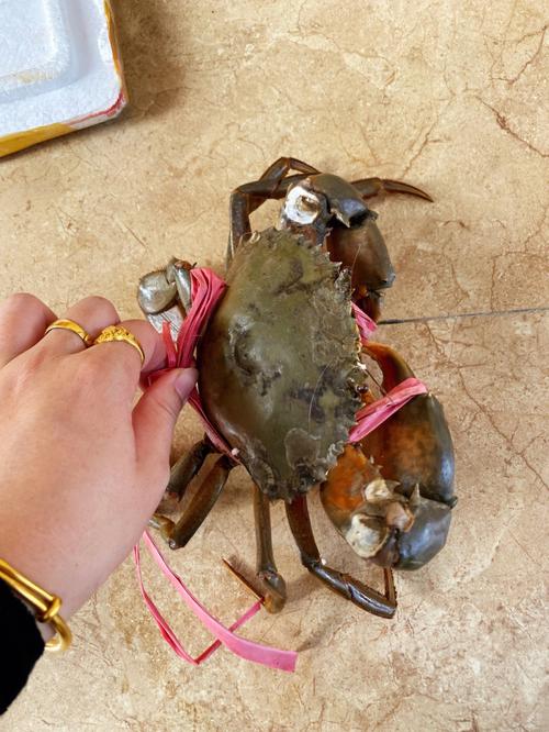 杀螃蟹的方法（怎么杀螃蟹）