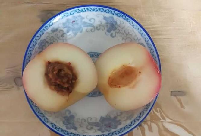 桃核中间的透明胶状物是什么