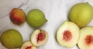 桃子核里面的透明胶是什么可以吃吗