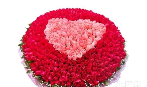 哪些花代表爱情的象征