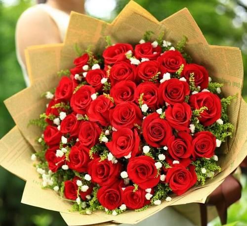 象征爱情的花有哪些