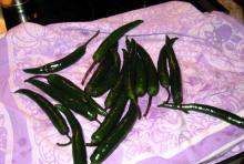 怎样腌整个青辣椒好吃,鲜青椒怎样腌制才好吃图3