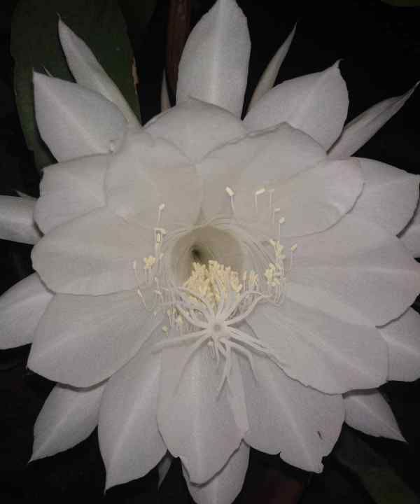 词牌名都有哪些,宋词词牌名都有哪些四字图6