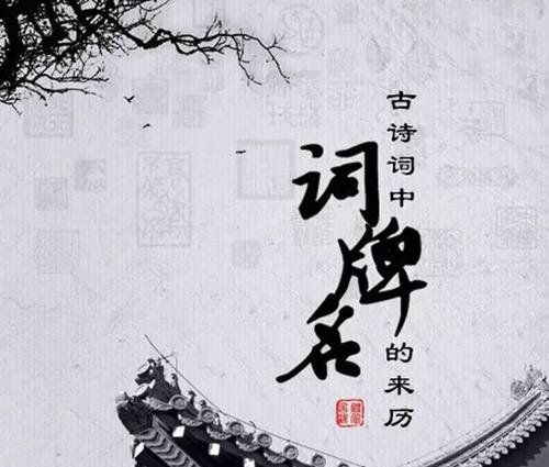 词牌名都有哪些,宋词词牌名都有哪些四字图2