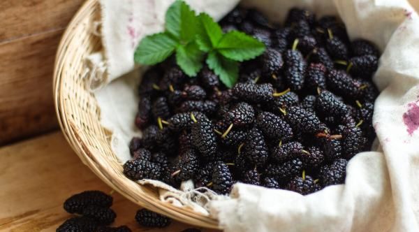 60度白酒泡桑葚保质期,自制桑葚酒的保质期是多久图2