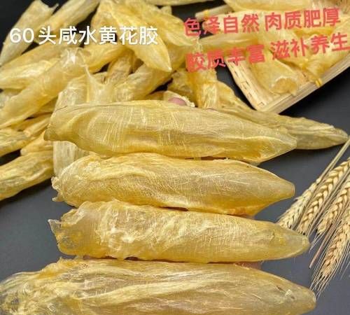 药物里面的明胶是什么胶