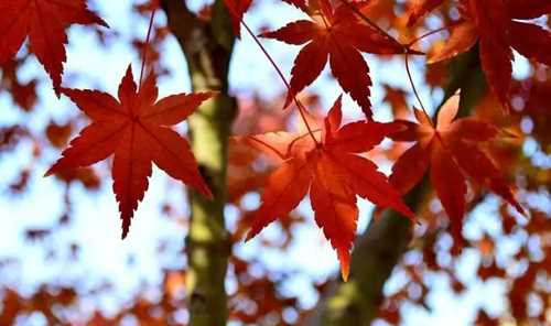 很贱又欠揍的6字网名(让人笑到喷的搞笑网名欠揍的)