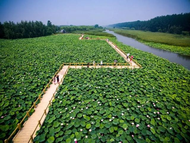 台儿庄古城游门票预约（一票在手说走就走）(7)