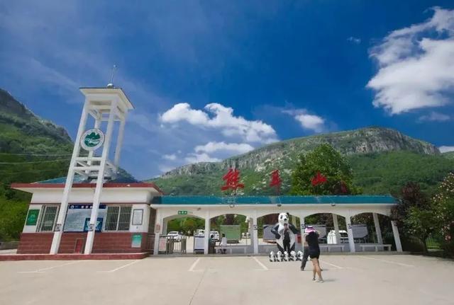 台儿庄古城游门票预约（一票在手说走就走）(5)