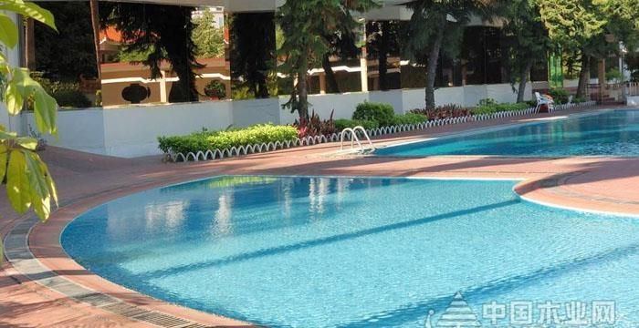 正规的泳池是多少米呢