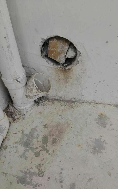 为什么在农村老年人说年轻人不能堵老鼠洞呢