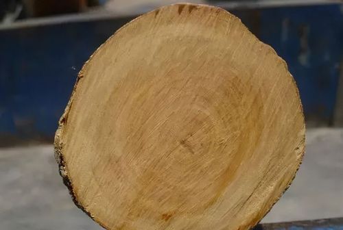 高档木材密度比较