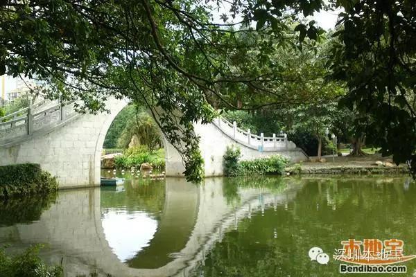 深圳不收费的公园哪里好玩（深圳八大免费又好玩儿的公园）(5)