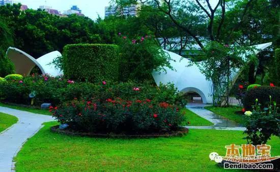 深圳不收费的公园哪里好玩（深圳八大免费又好玩儿的公园）(7)