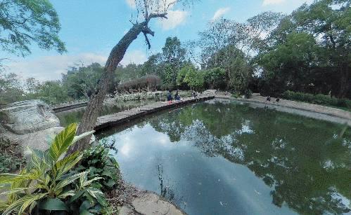 深圳东湖公园好玩吗值得去吗（去过深圳东湖公园）(9)