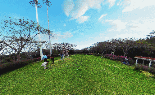 深圳东湖公园好玩吗值得去吗（去过深圳东湖公园）(3)