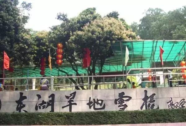 深圳东湖公园好玩吗值得去吗（去过深圳东湖公园）(7)