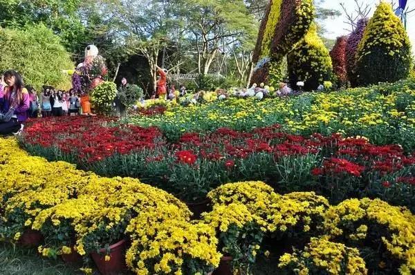 深圳东湖公园好玩吗值得去吗（去过深圳东湖公园）(11)