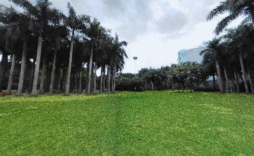 深圳东湖公园好玩吗值得去吗（去过深圳东湖公园）(5)