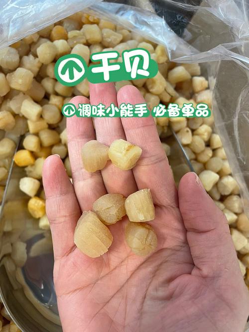 正确泡发干贝的5个步骤（如何正确泡发干贝）