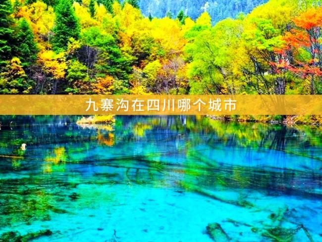 九寨沟属于哪个省（属于四川省）