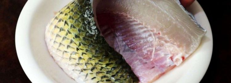 鱼腩翅是蛋白质还是脂肪