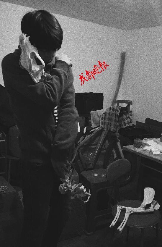 动物解剖时做的准备（大学生3年解剖近百只宠物做标本惹争议）(4)