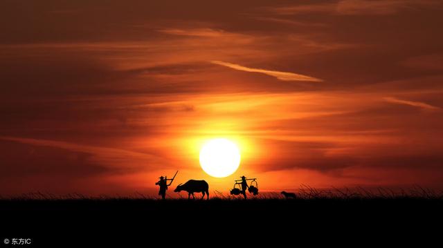 怎么理解由俭入奢易由奢入俭难(由俭入奢易由奢入俭难)(3)