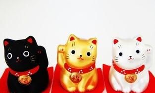 招财猫举左手，招财猫为什么头朝上那？图4