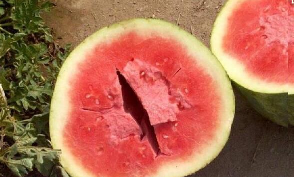 西瓜中间裂开可以吃吗