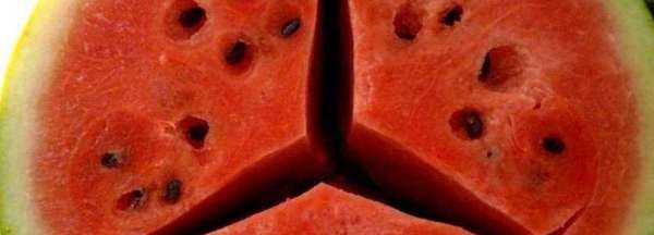 西瓜中间空心裂开能吃,西瓜中间空心裂开发黄能吃吗图1