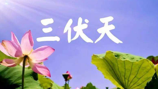 三伏天时间表,2020年三伏天是哪几天图3