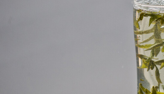 中国四大名茶是哪四种,我国的十大名茶有哪些图4