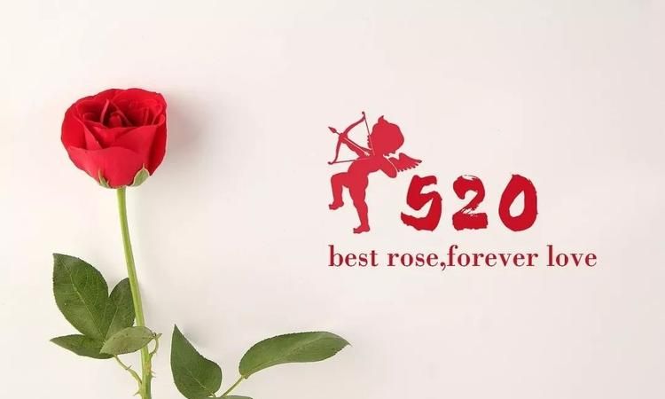 5月20日是什么节日每年5月20日是什么节日