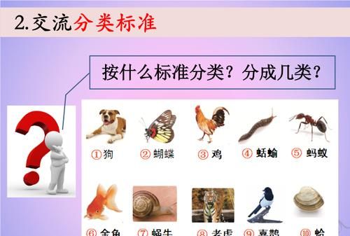 将动物分成两组,可以怎么分一年级数学下册