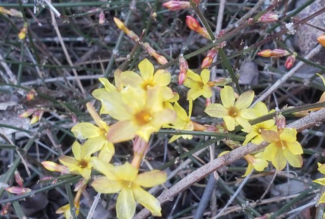 衣服发黄怎么洗白小妙招,衣服发黄用什么洗白?图3