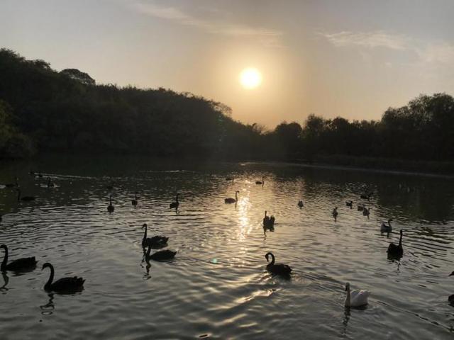 杭州野生动物园游玩攻略图（杭州亲子游推荐）(8)