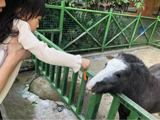 杭州野生动物园游玩攻略图（杭州亲子游推荐）(6)