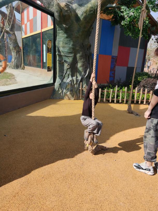 杭州野生动物园游玩攻略图（杭州亲子游推荐）(4)