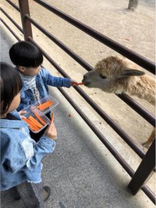 ​杭州野生动物园游玩攻略图（杭州亲子游推荐）