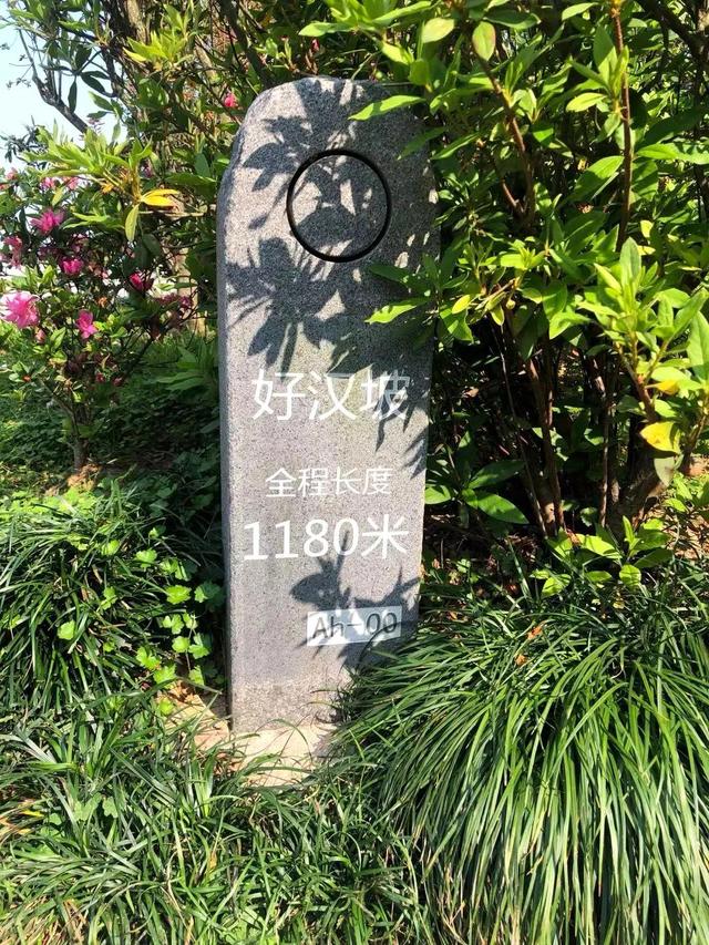 深圳梧桐山登山路线详细攻略（深圳梧桐山登山路线详细攻略）(3)