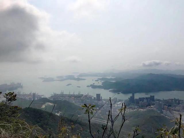 深圳梧桐山登山路线详细攻略（深圳梧桐山登山路线详细攻略）(6)
