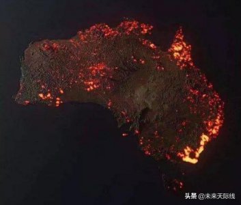 ​澳大利亚有千万只蝙蝠是怎么来的 70万蝙蝠涌入澳洲