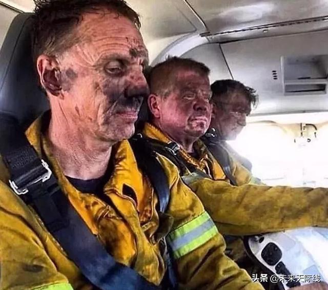 澳大利亚有千万只蝙蝠是怎么来的 70万蝙蝠涌入澳洲(5)